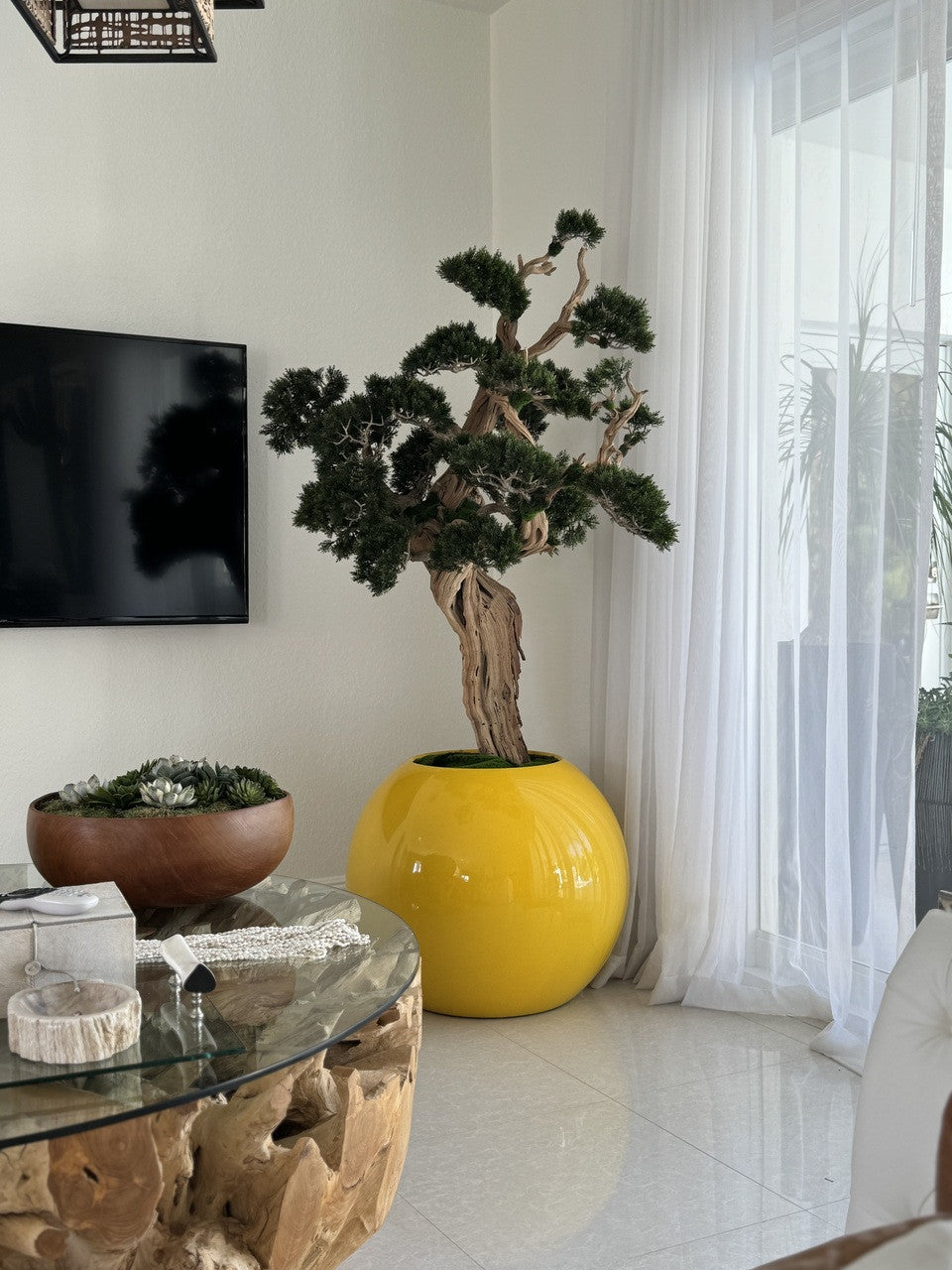 Trailing Bonsaï en 76 Cm Saffron Jaune Globe