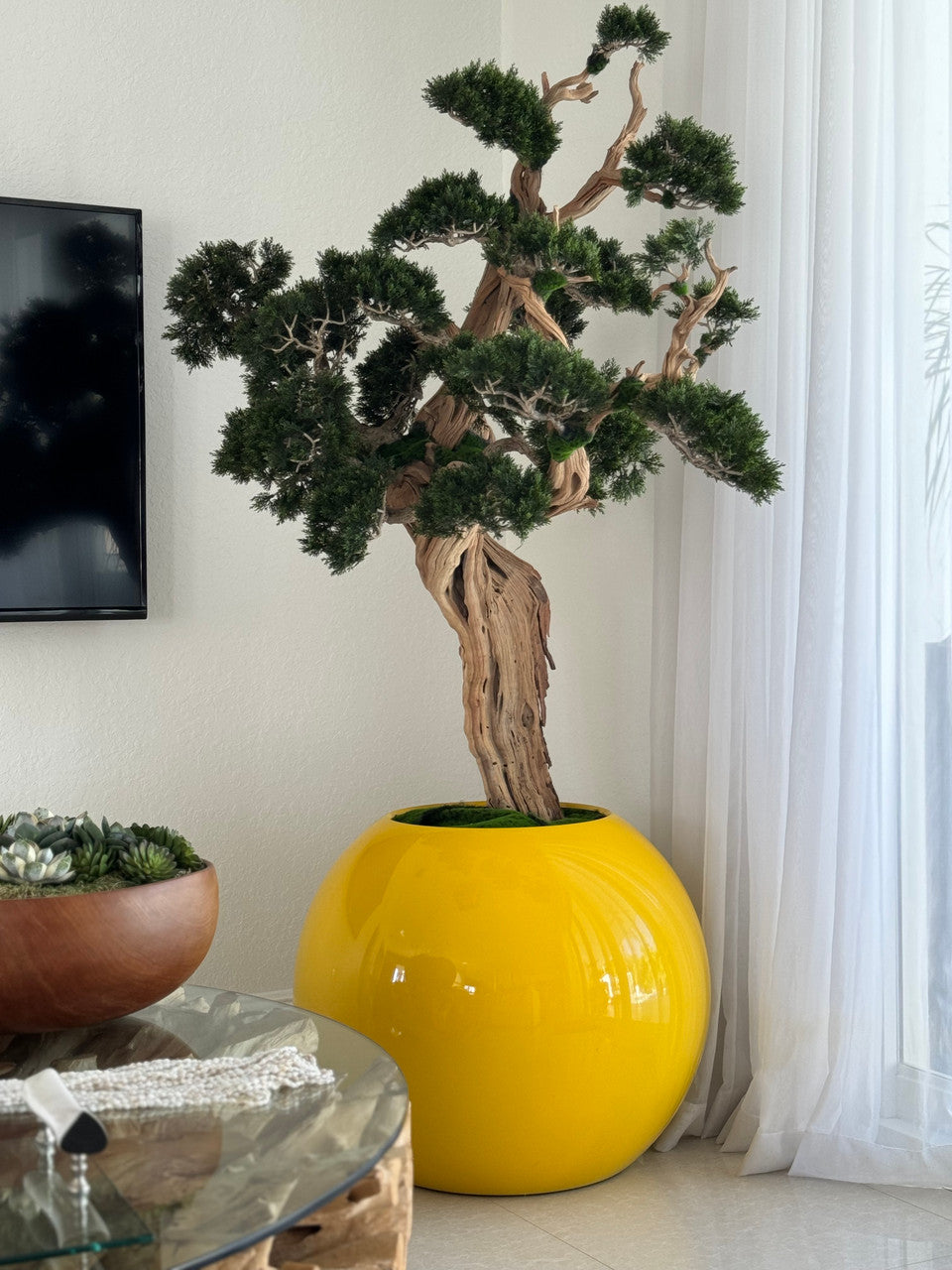 Trailing Bonsaï en 76 Cm Saffron Jaune Globe