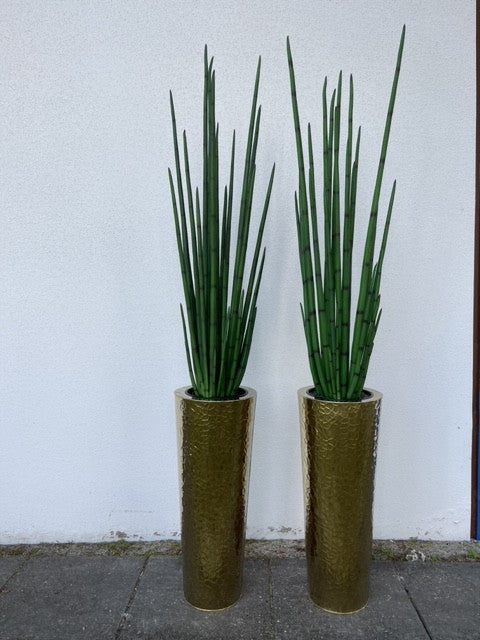 Hammered Acier Inoxydable Tapered Cone (71 Cm) avec Grand Sansevière Plante