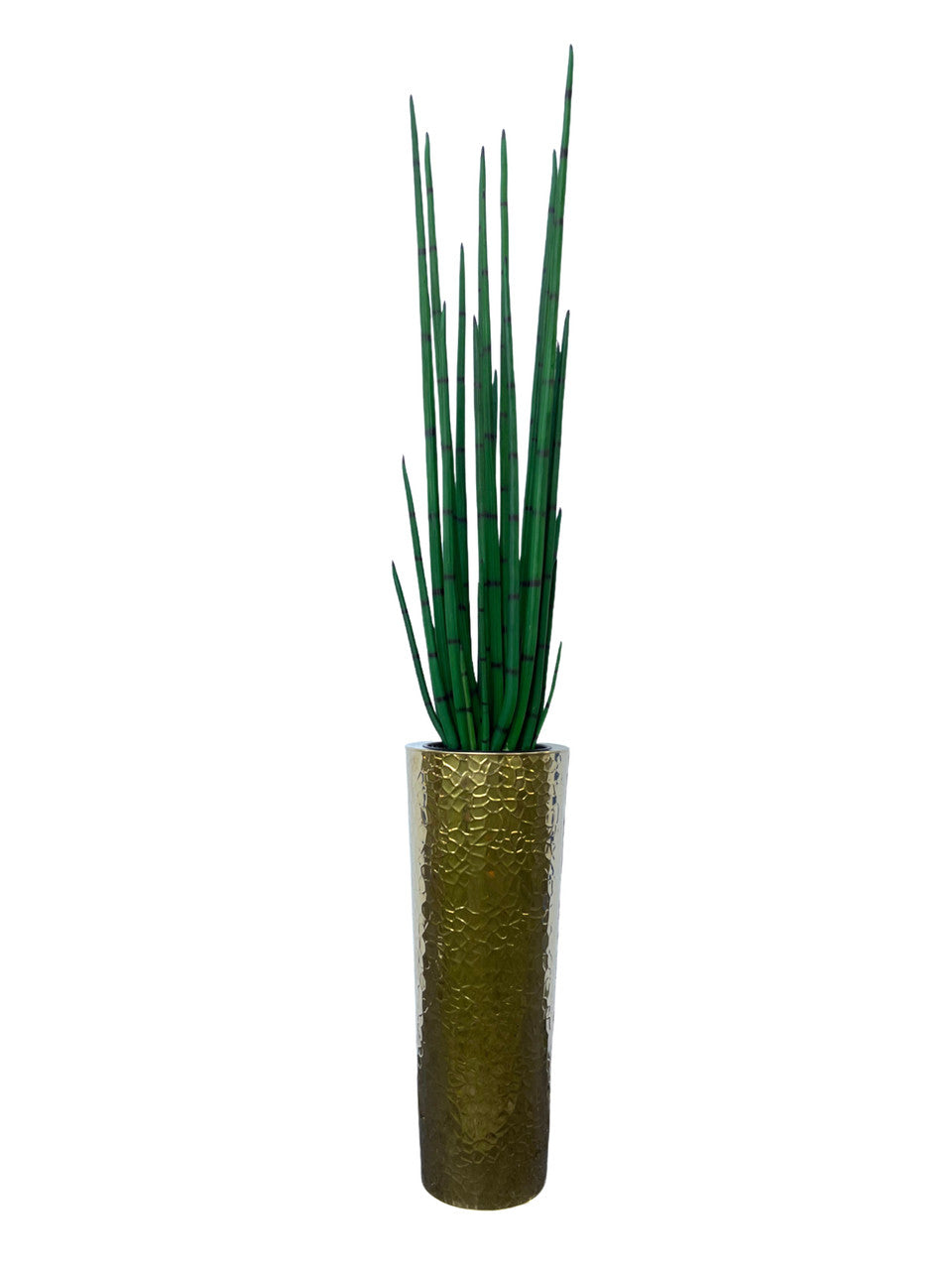 Hammered Acier Inoxydable Tapered Cone (71 Cm) avec Grand Sansevière Plante