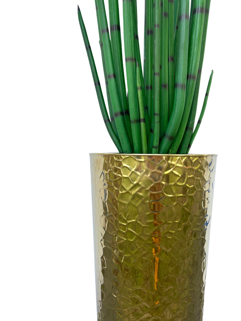 Hammered Acier Inoxydable Tapered Cone (71 Cm) avec Grand Sansevière Plante