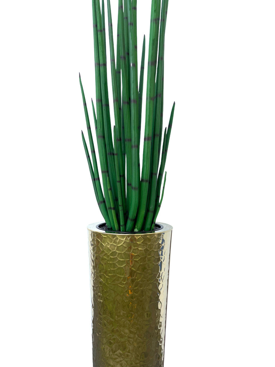 Hammered Acier Inoxydable Tapered Cone (71 Cm) avec Grand Sansevière Plante