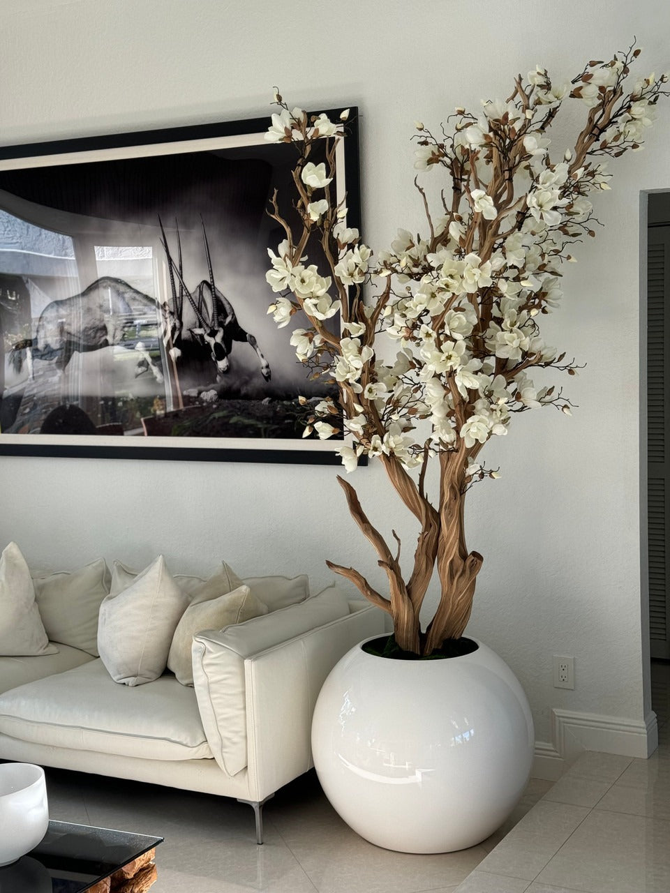Blanc Magnolia Arbre en 76 Cm Blanc Brillant Pot Globe