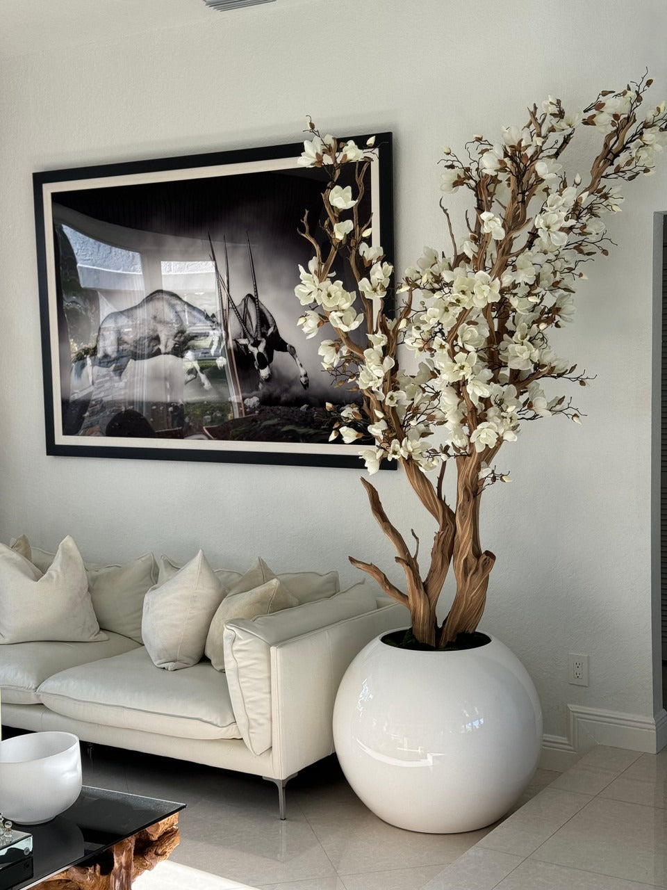 Blanc Magnolia Arbre en 76 Cm Blanc Brillant Pot Globe