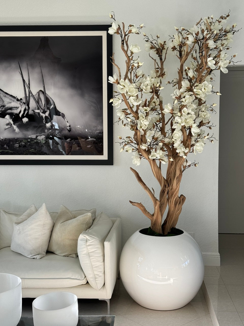 Blanc Magnolia Arbre en 76 Cm Blanc Brillant Pot Globe