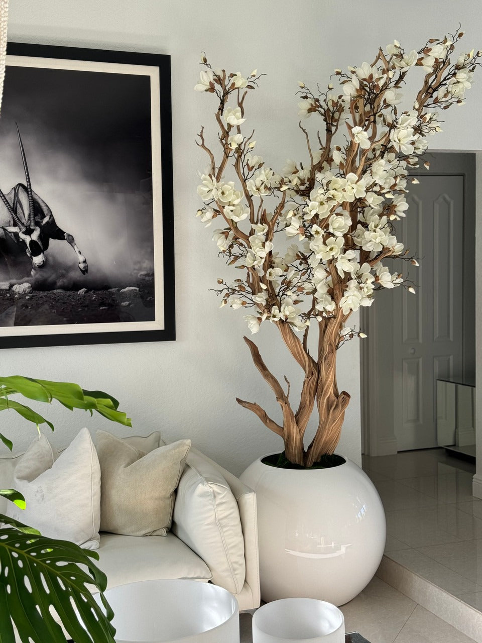 Blanc Magnolia Arbre en 76 Cm Blanc Brillant Pot Globe