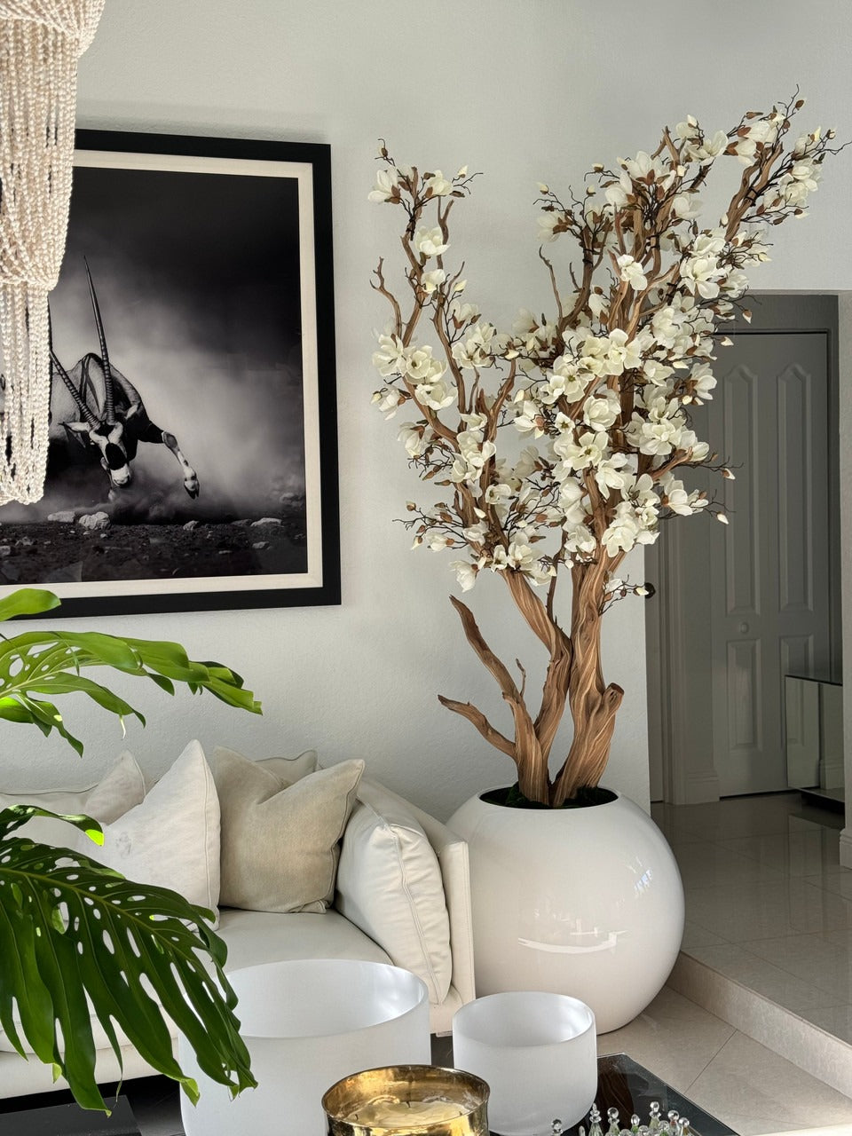 Blanc Magnolia Arbre en 76 Cm Blanc Brillant Pot Globe