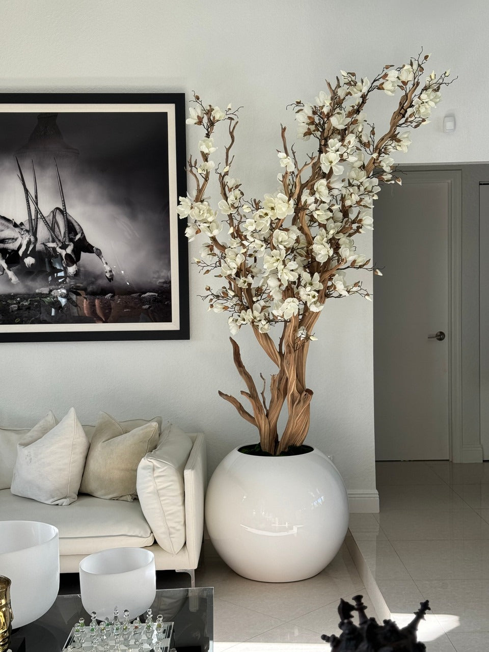 Blanc Magnolia Arbre en 76 Cm Blanc Brillant Pot Globe