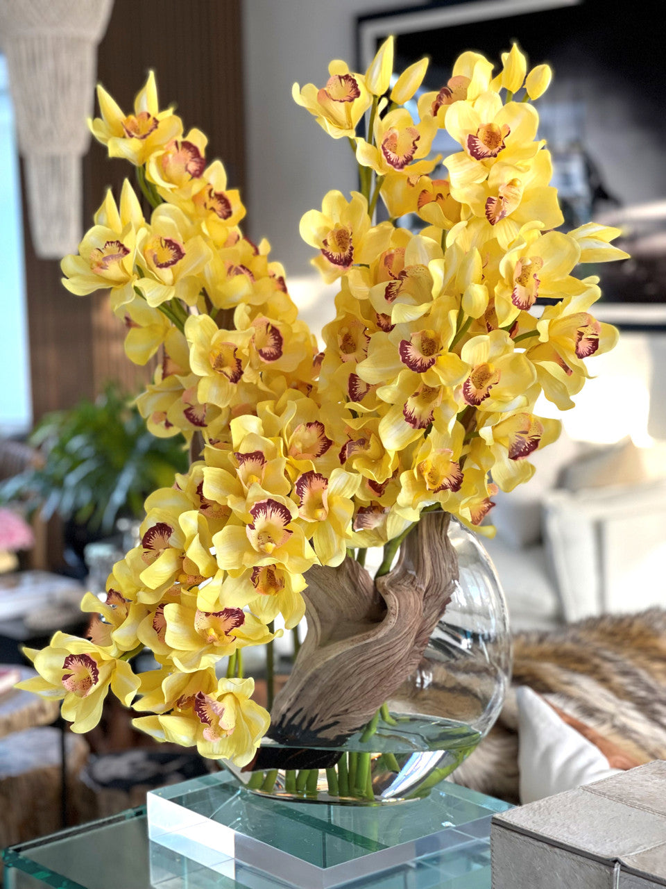 Jaune Cymbidiums en Vase Lune