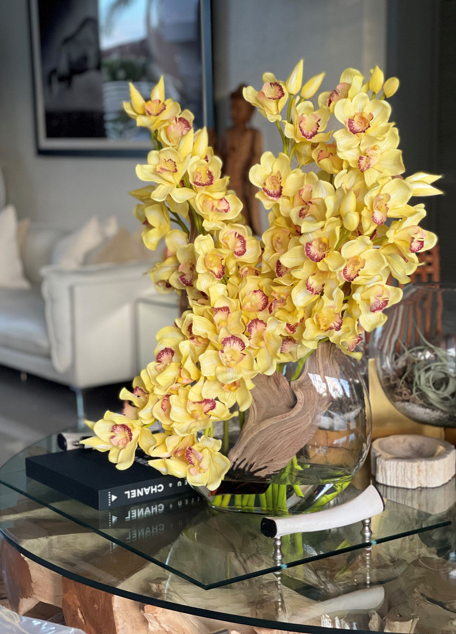 Jaune Cymbidiums en Vase Lune