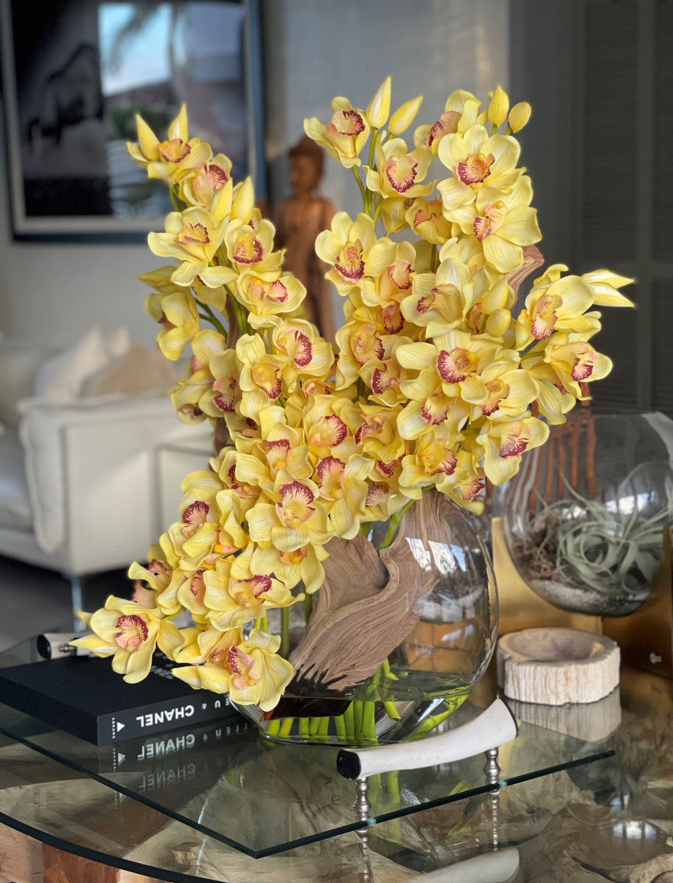 Jaune Cymbidiums en Vase Lune