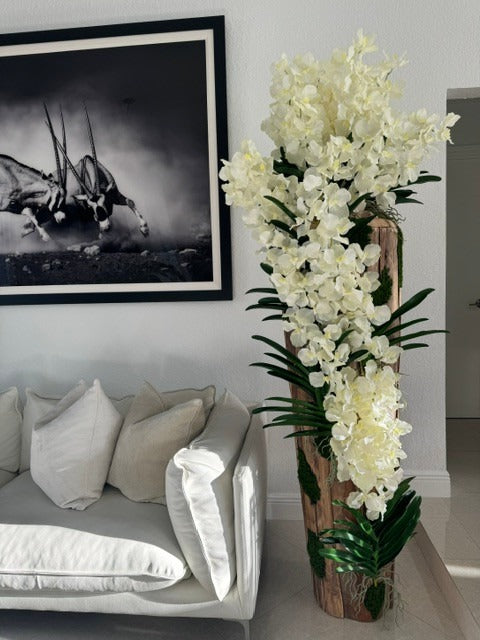Grand Live Edge Teak Vase avec Blanc Orchidées Vanda