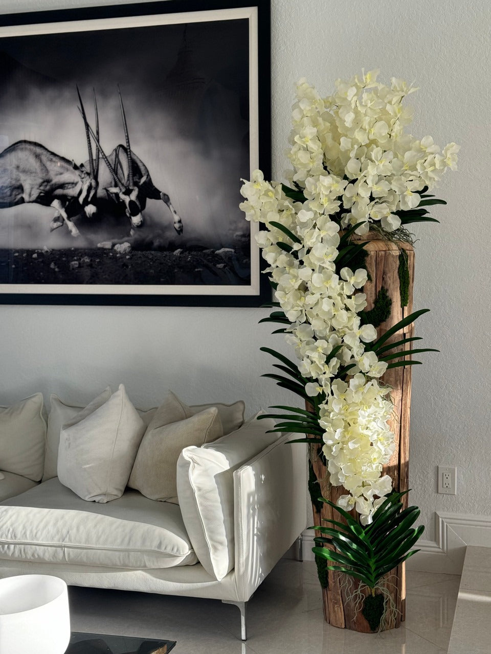 Grand Live Edge Teak Vase avec Blanc Orchidées Vanda