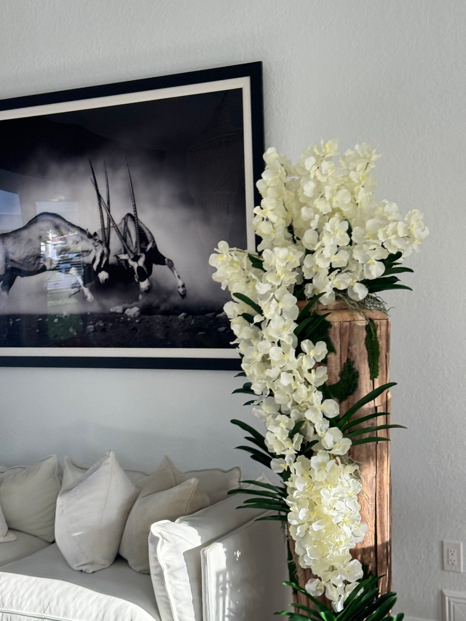 Grand Live Edge Teak Vase avec Blanc Orchidées Vanda