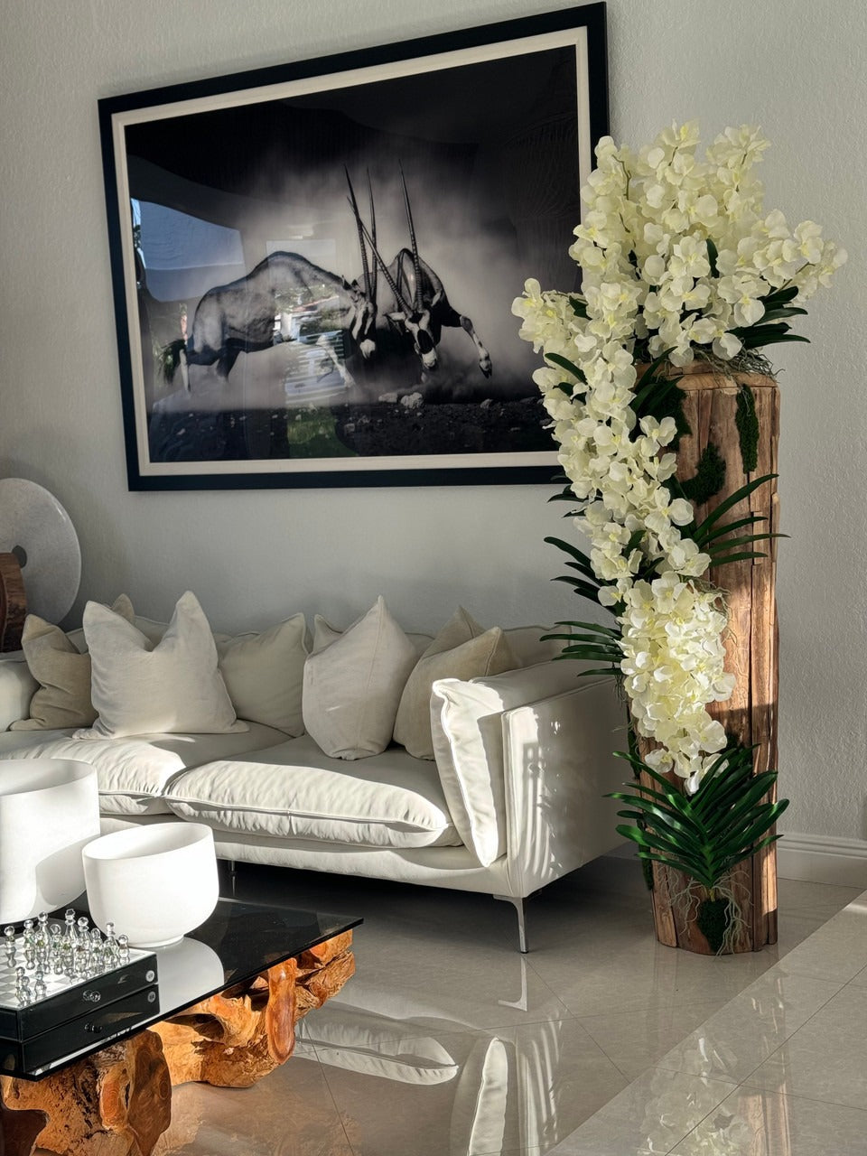 Grand Live Edge Teak Vase avec Blanc Orchidées Vanda