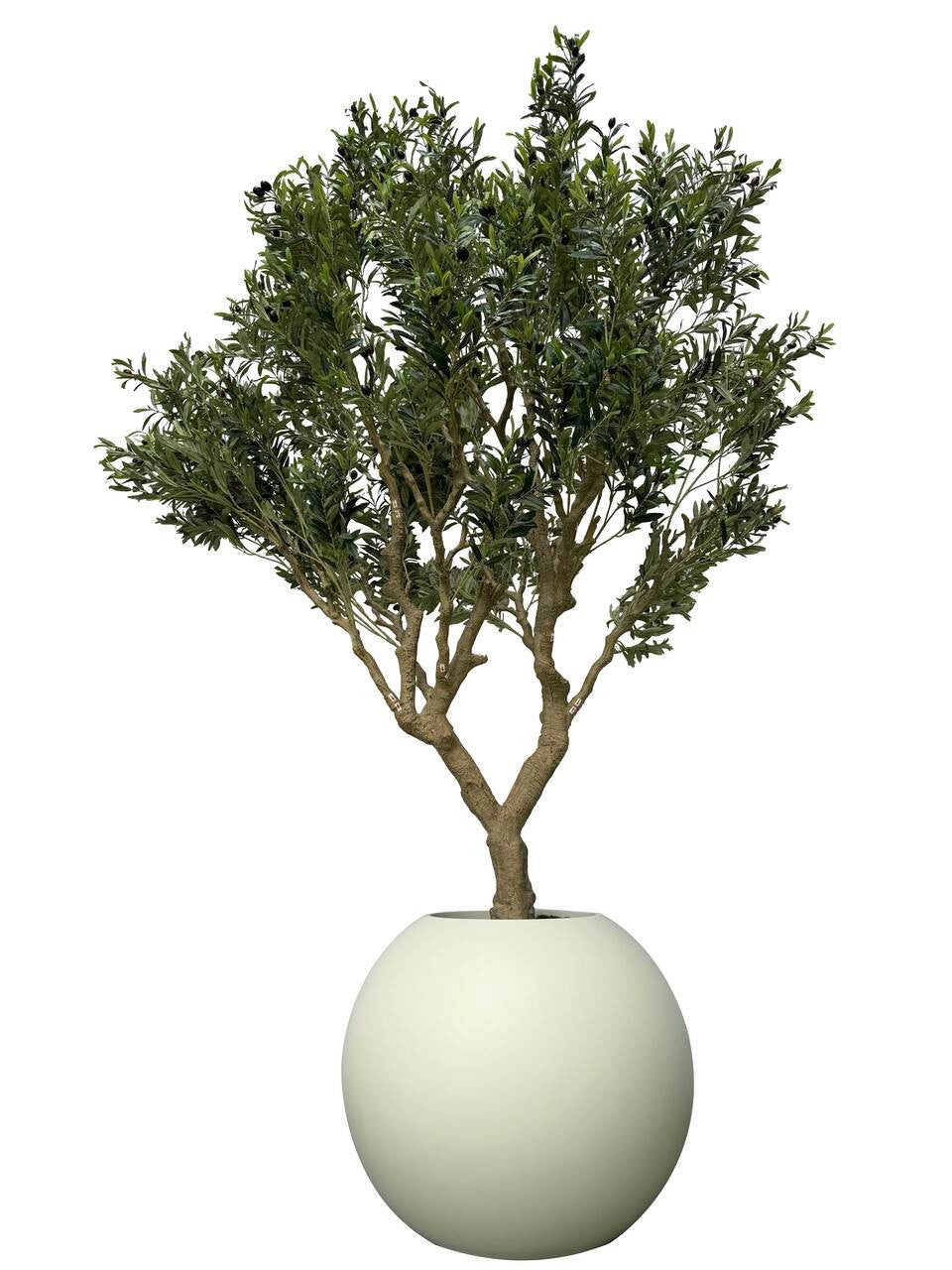 Olivier en Mat Beige 76 Cm Pot Globe