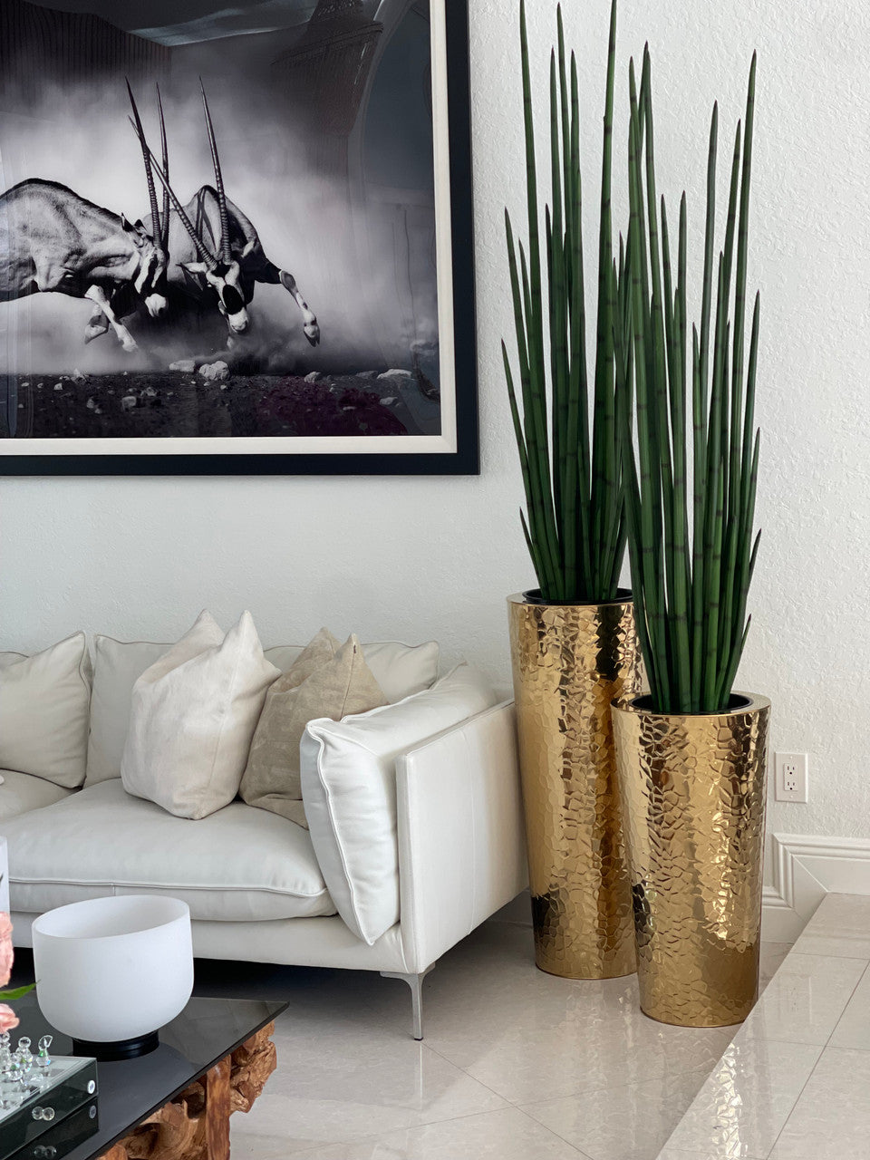 Hammered Acier Inoxydable Tapered Cone (71 Cm) avec Grand Sansevière Plante