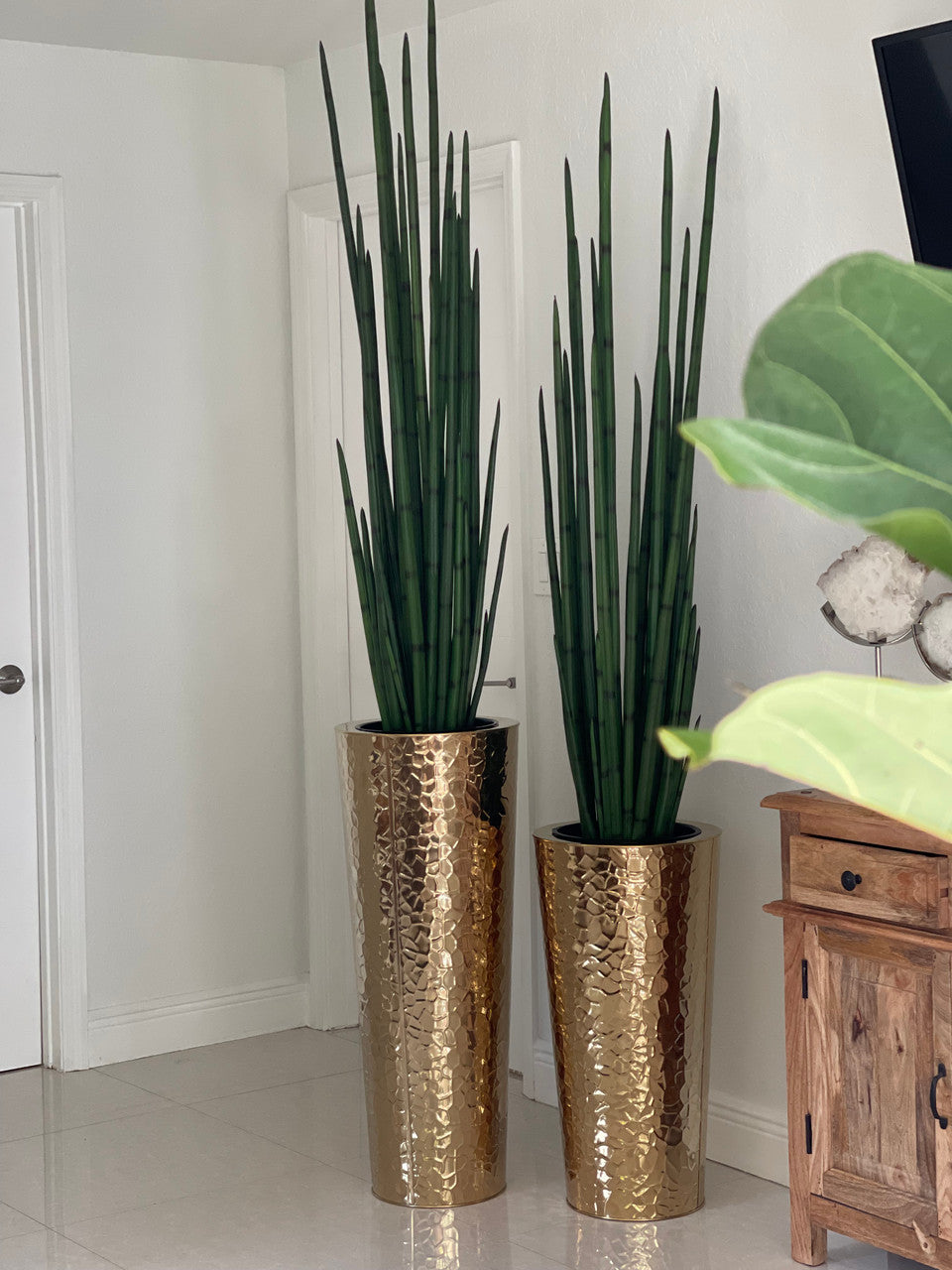 Hammered Acier Inoxydable Tapered Cone (71 Cm) avec Grand Sansevière Plante
