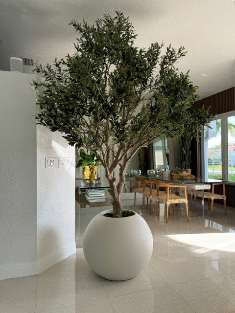 Olivier en Mat Beige 76 Cm Pot Globe