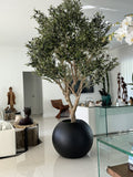 Olivier en Noir Mat 76 Cm Pot Globe