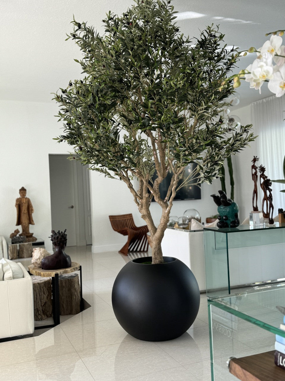 Olivier en Noir Mat 76 Cm Pot Globe