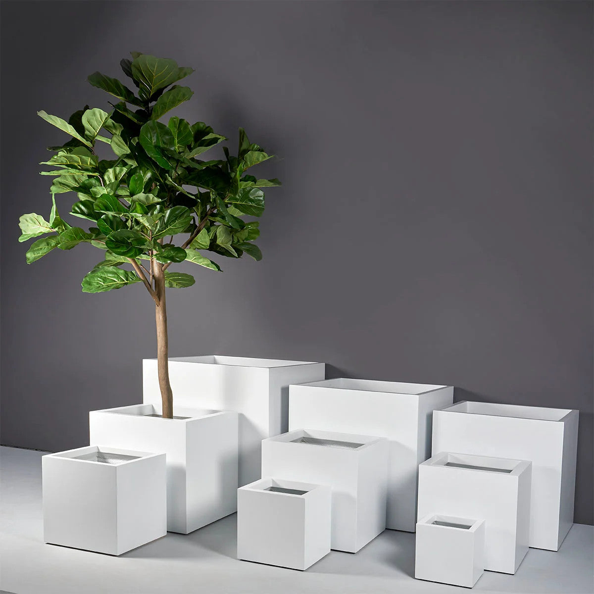 Montroy Cube Pot