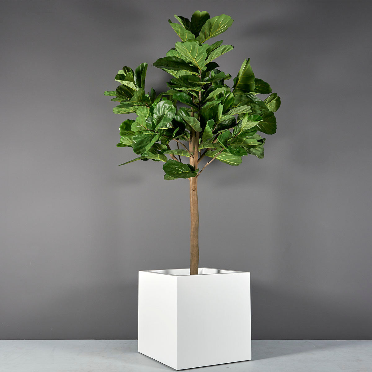 Montroy Cube Pot