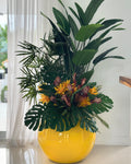 Tropical Mix Plantes en Jaune Pot Globe