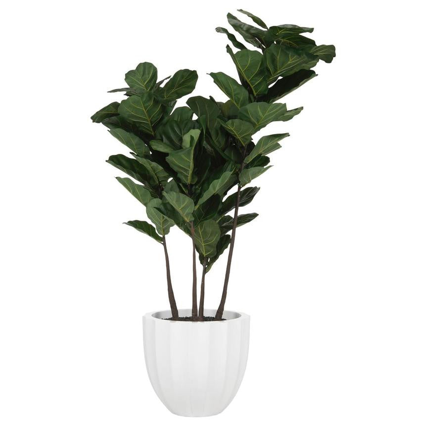 Santa Barbara Pot avec Pot avec Figuier Lyre Arbre