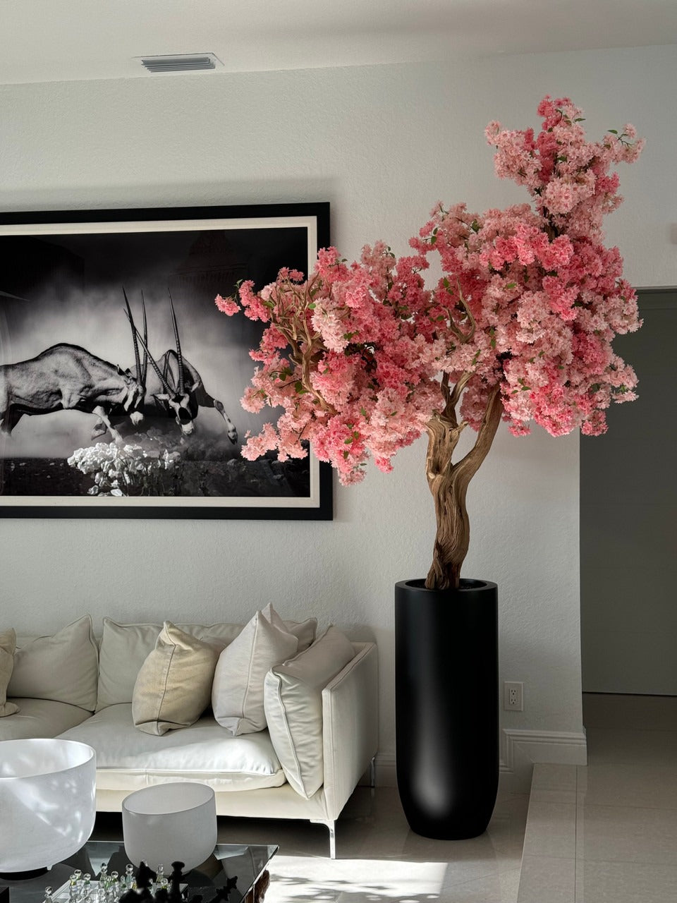Noir Mat St. Tropez Pot avec Personnalisé Made Rose Fleurs de Cerisier Arbre