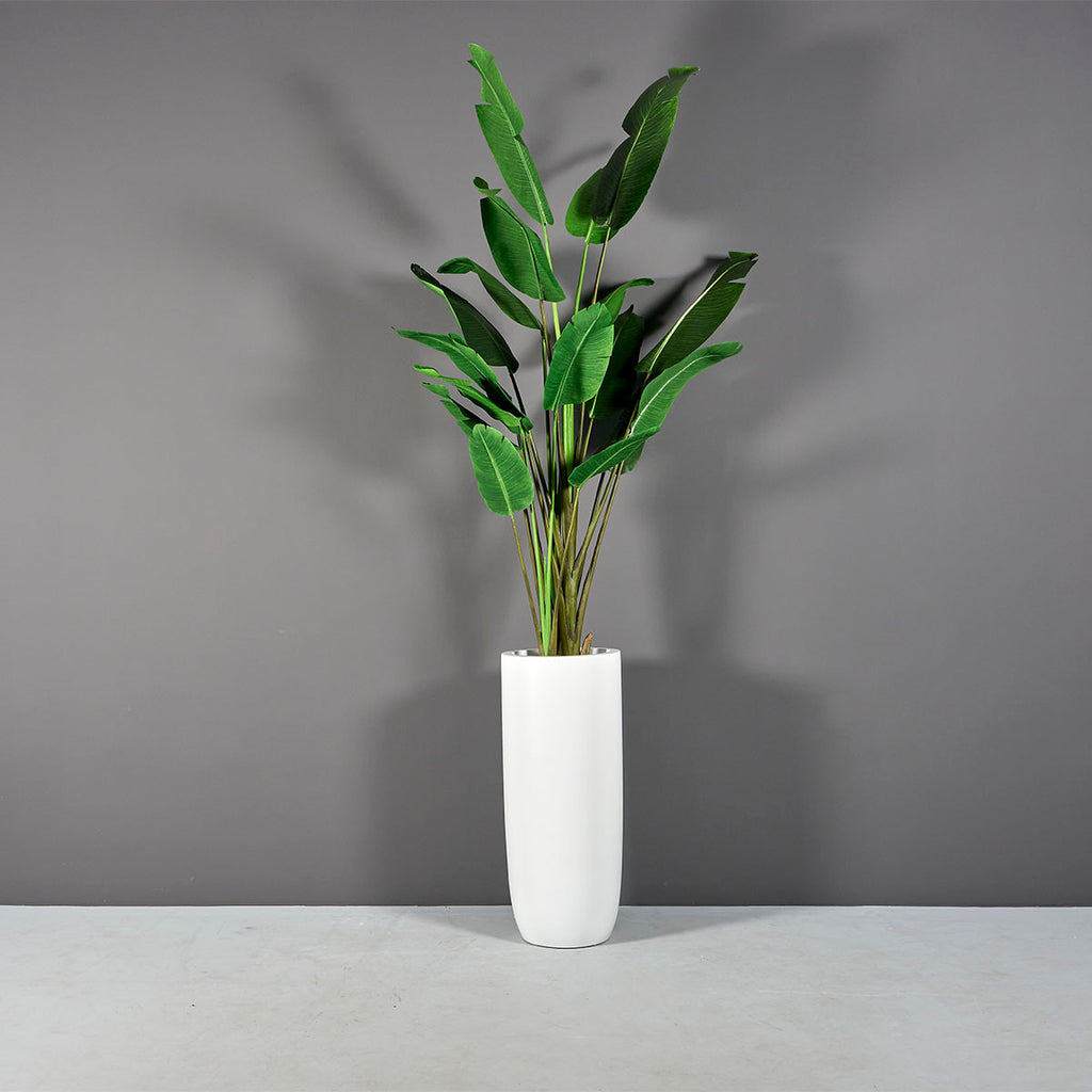 Saint Tropez Pot