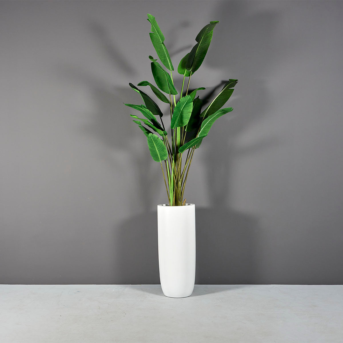 Saint Tropez Pot