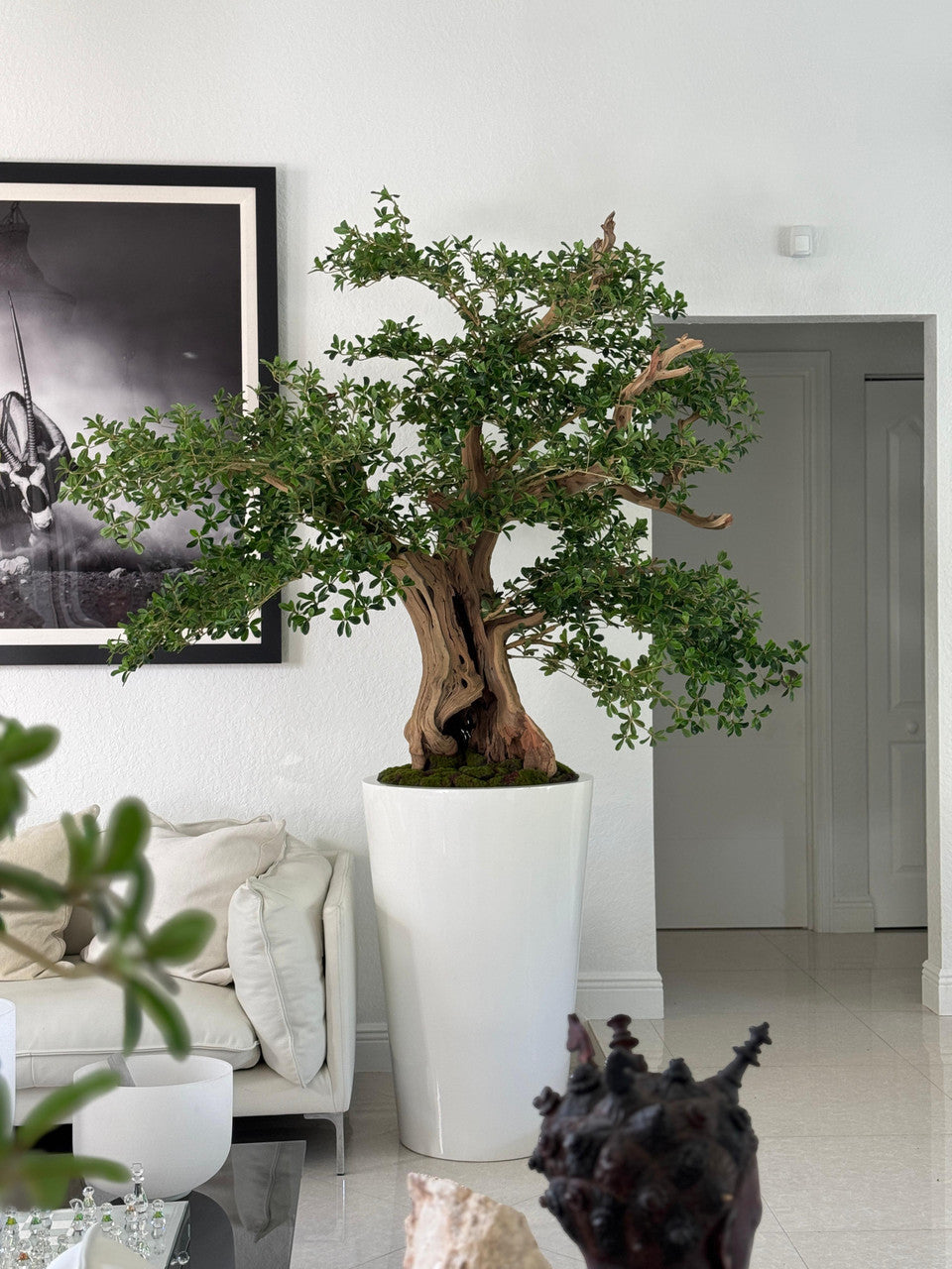 Artificiel Noir Olivier Bonsaï Arbre en Blanc Brillant Belle Pot