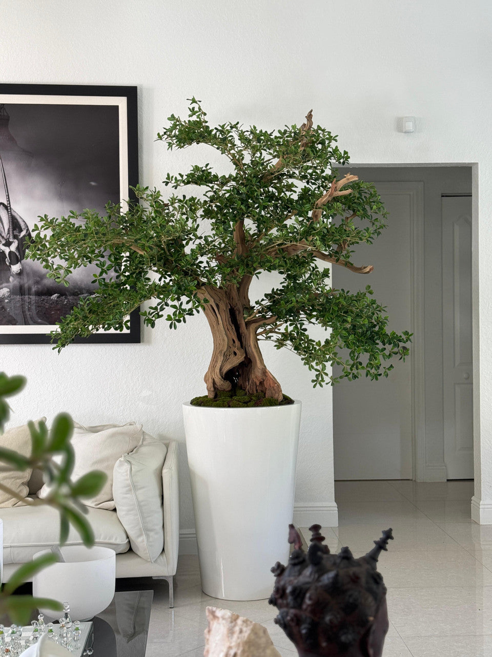 Artificiel Noir Olivier Bonsaï Arbre en Blanc Brillant Belle Pot