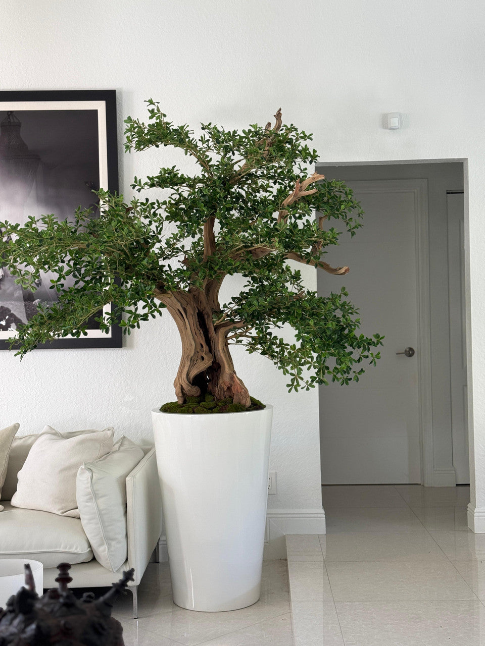 Artificiel Noir Olivier Bonsaï Arbre en Blanc Brillant Belle Pot