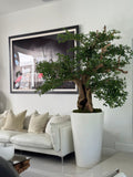 Artificiel Noir Olivier Bonsaï Arbre en Blanc Brillant Belle Pot