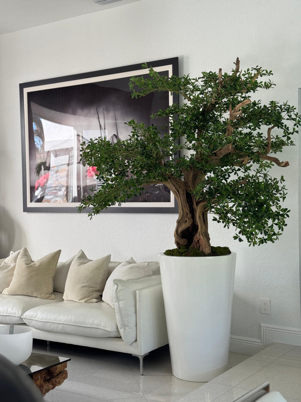 Artificiel Noir Olivier Bonsaï Arbre en Blanc Brillant Belle Pot