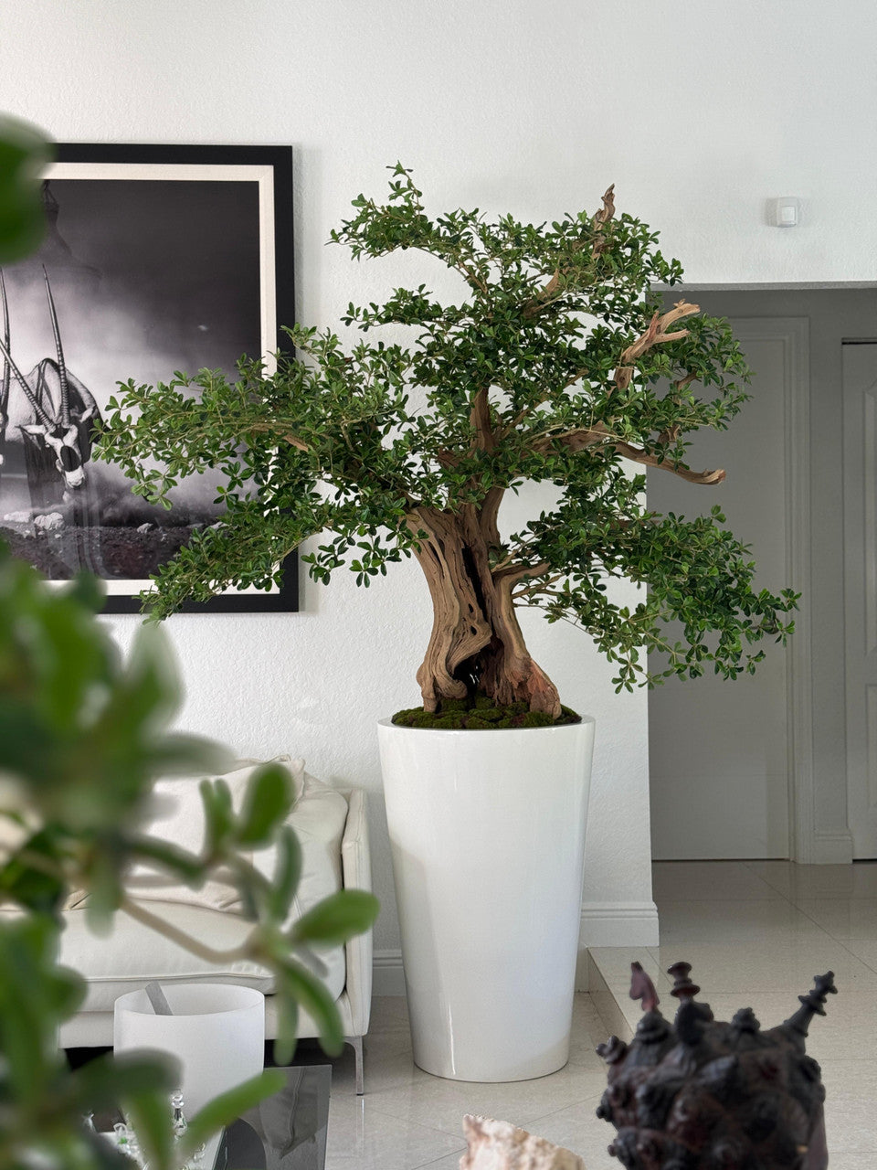 Artificiel Noir Olivier Bonsaï Arbre en Blanc Brillant Belle Pot