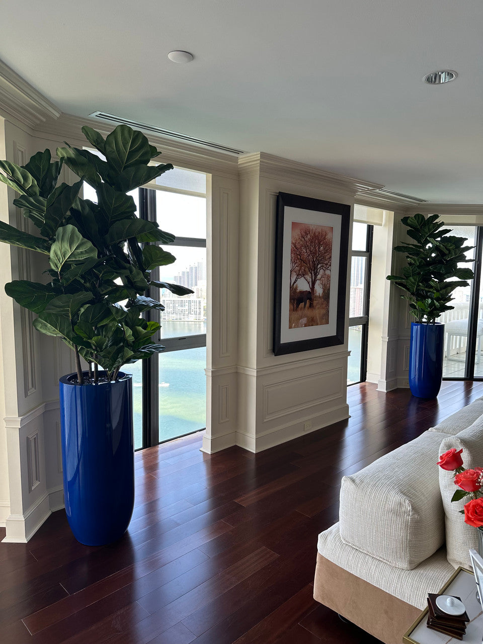 Figuier Lyre Arbre avec Brillant Cobalt Bleu St. Tropez Pot
