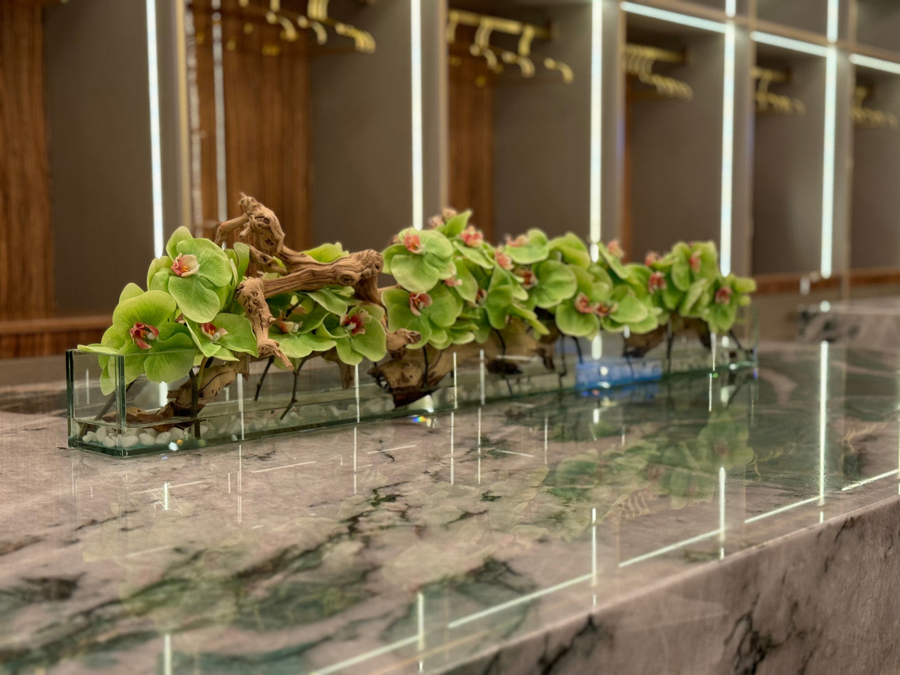 122 Cm Casa Moderna Pot Plateau en Verre avec Vert Orchidées Phalaenopsis