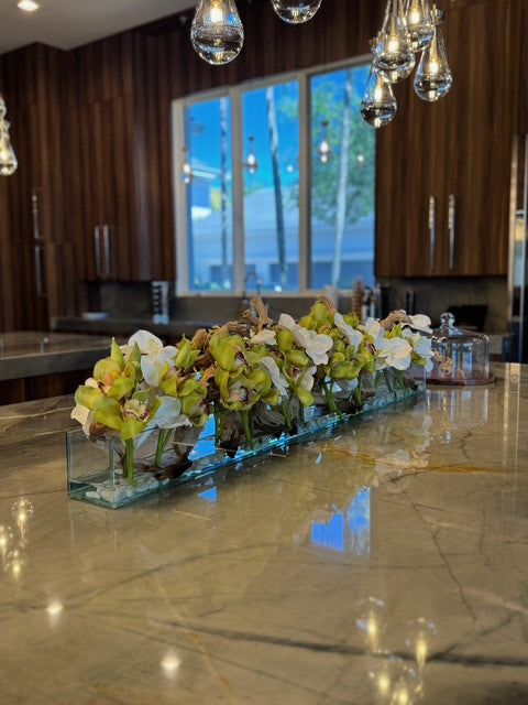 Casa Moderna avec Blanc Vandas et Vert Cymbidiums