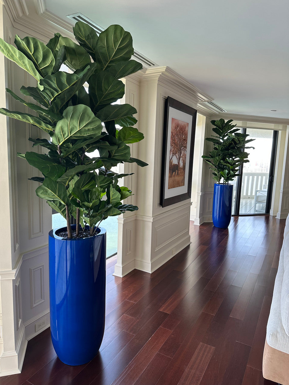 Figuier Lyre Arbre avec Brillant Cobalt Bleu St. Tropez Pot