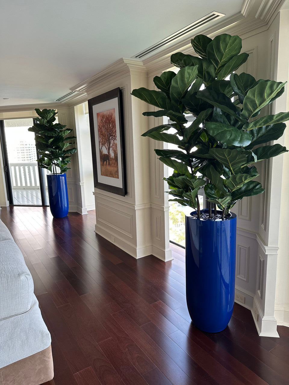 Figuier Lyre Arbre avec Brillant Cobalt Bleu St. Tropez Pot