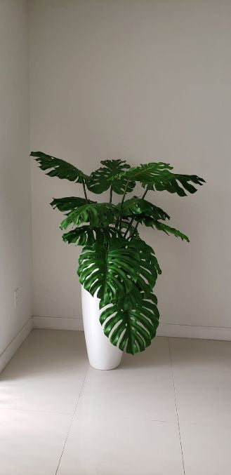 Monstera Feuillage en Dax L Pot