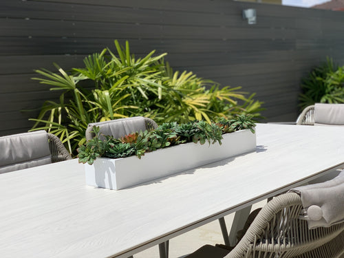 81 Cm Balcony Fibre de Verre Pot avec Succulentes