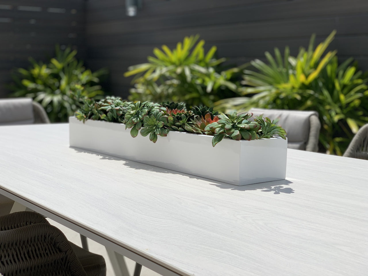 81 Cm Balcony Fibre de Verre Pot avec Succulentes