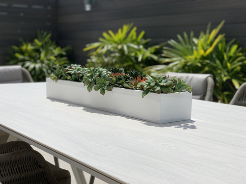 81 Cm Balcony Fibre de Verre Pot avec Succulentes