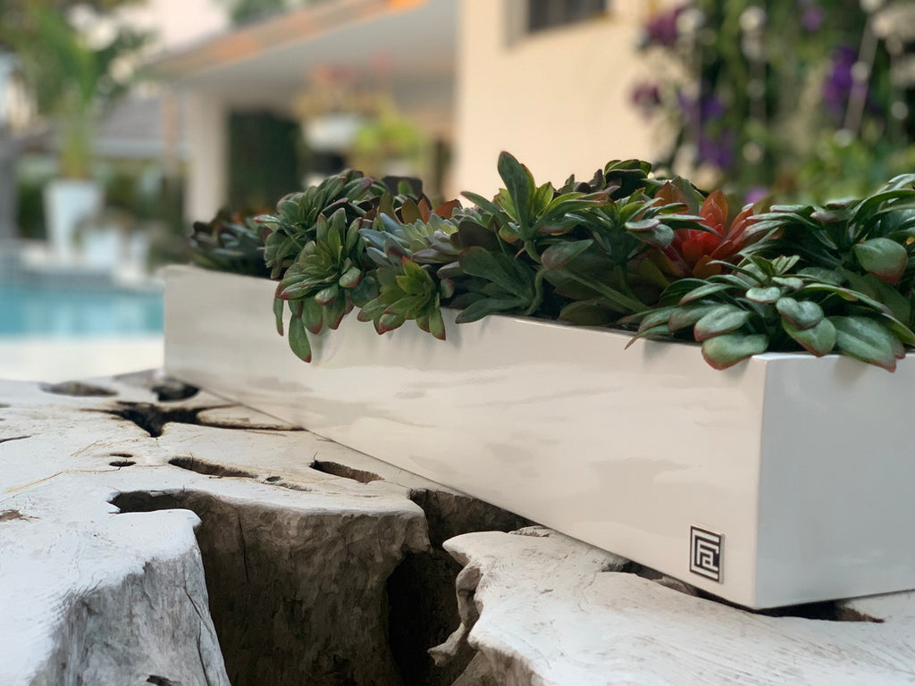 81 Cm Balcony Fibre de Verre Pot avec Succulentes