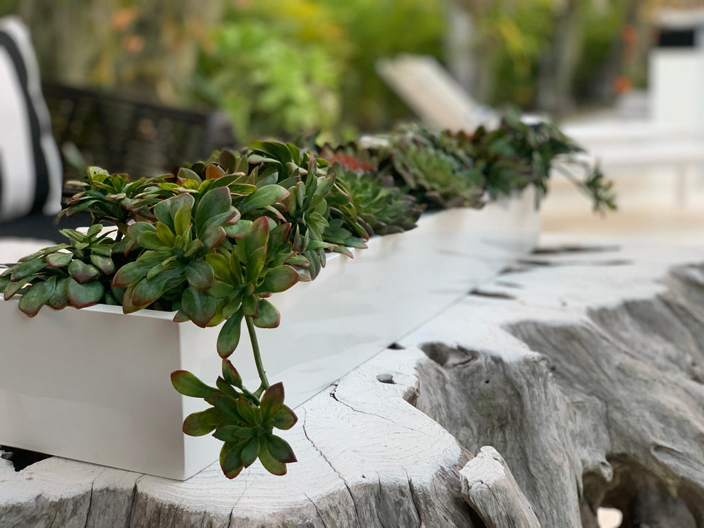 81 Cm Balcony Fibre de Verre Pot avec Succulentes
