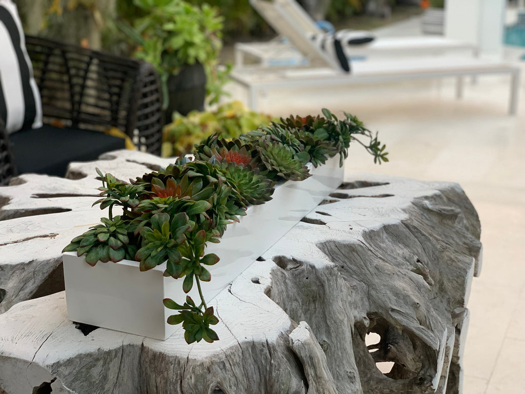 81 Cm Balcony Fibre de Verre Pot avec Succulentes